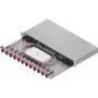 ZVK Easylan LWL Spleißgehäuse Basic 1U 12x SC-Duplex OM4 Schublade Schwarz
