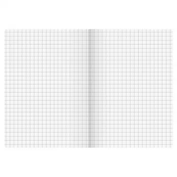 BRUNNEN FACT!plus Notizbuch A6 kariert 96 Blatt Schwarz 104367290