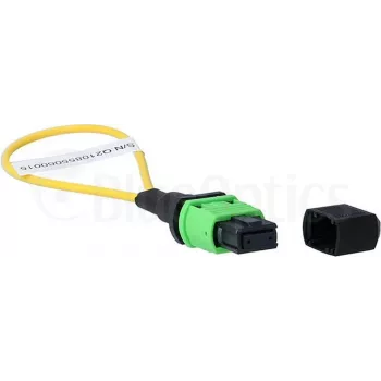BlueOptics Loopback Adapter MPO/MTP Singlemode SM 9/125µm APC Keramikferrule