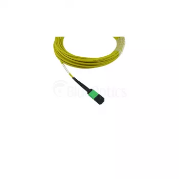 BlueOptics Cisco CB-M12-M12-SMF2M MPO-MPO Singlemode G.657.A1 Patchkabel, 2 m