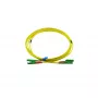 BlueOptics Duplex Glasfaser-Patchkabel, E2000-APC/E2000-APC Grün, 1 Meter, Singlemode OS2 E9/125µm