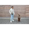 PALOPA 2-in-1 Hunde-Leckerli-Tasche & Flaschenhalter Boudi Dark Olive