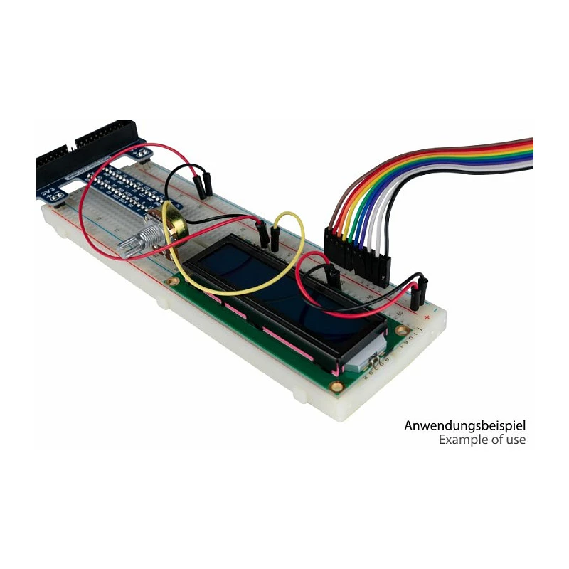 kabelmeister Jumper Wire 40-Pin Trennbare Drähte für Arduino, Raspberry Pi usw., Male to Female
