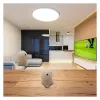 Mad Monkey Anti-Stress Ball Worlds Smallest Willy