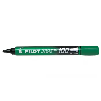 Pilot Pen 100 Permanent Marker Grün 1,0 mm