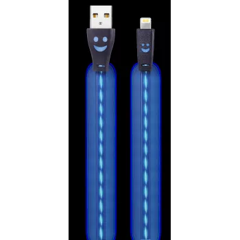 2GO 795536 USB-A auf Lightning Kabel 1m Blau