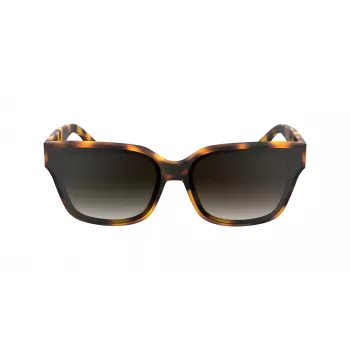 KARL LAGERFELD KL6161S-240 Damen-Sonnenbrille, übergroße quadratische Form, Havanna Braun mit braunen Gradientengläsern, 63/14/140 mm