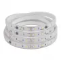SYNERGY21 LED Flex Strip 2835 - 60 NW Pixel DC24V WS2811 IP65