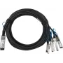 BlueLAN-kompatibles Mellanox MCP7H50-V001R30 passives 200GBASE-CR4 QSFP56 auf 2x100GBASE-CR2 QSFP56 Direct Attach Breakout-Kabel, 1 Meter, AWG26