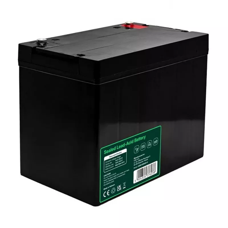GREEN CELL Greencell AGM VRLA 12V 80Ah Wartungsfreie Batterie für USV, Waagen, Wohnmobile (260x168x216mm)