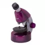 Levenhuk LabZZ M101 Amethyst Biologisches Mikroskop für Kinder, 40x-640x, Monokular, LED-Beleuchtung