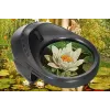 Levenhuk ERGO 30 Digitalmikroskop 2,0 MP 20x-230x USB