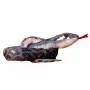 LEAN TOYS Plüsch Graue Schlange Maskottchen 210 cm