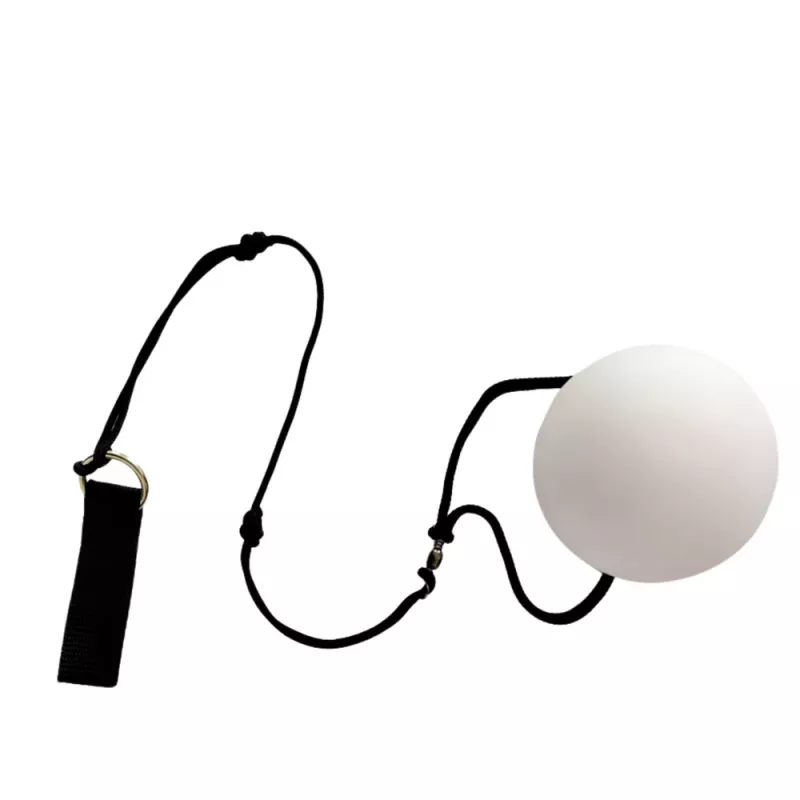 LEAN TOYS Jonglierbälle Fiber Optic LED 2 Farben