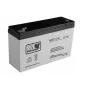 LEAN CARS AGM Gel Batterie 6V 12Ah für Auto