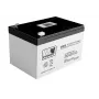 LEAN CARS AGM Gel-Batterie 12V 12Ah für Auto