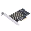 ORICO PDM2 PCIe 3.0 x4 M.2 NVMe & SATA SSD Adapterkarte - Schwarz