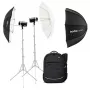 Godox AD300 Pro II Kit 300Ws TTL Li-Ion Blitz