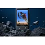 Screen Protector Insta360 X3 - Tempered Glass 9H, 2-Pack