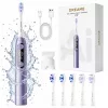 Dreame E10F Set Lila Saug- und Wischroboter