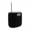 Pure Acoustics Pure Woodland Mini wasserdichter Outdoor-Lautsprecher mit FM/DAB+ Radio, Schwarz
