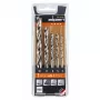 ALPEN-MAYKESTAG Alpen PTM 5 Profi Holz 4-5-6-8-10 Holzbohrer-Set, 5-teilig, 4-10 mm
