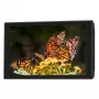 Portkeys HD7T 7 inch 2200 cd/m² IPS On-Camera Monitor mit 3D LUT