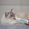 VETEXPERT TrichoCat Anti-Hairball Paste für Katzen 50 g