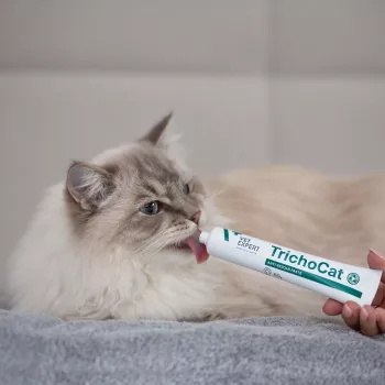 VETEXPERT TrichoCat Anti-Hairball Paste für Katzen 50 g