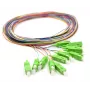 12x Pigtail SC/APC Singlemode G.657.A2 2m Gold Connectors