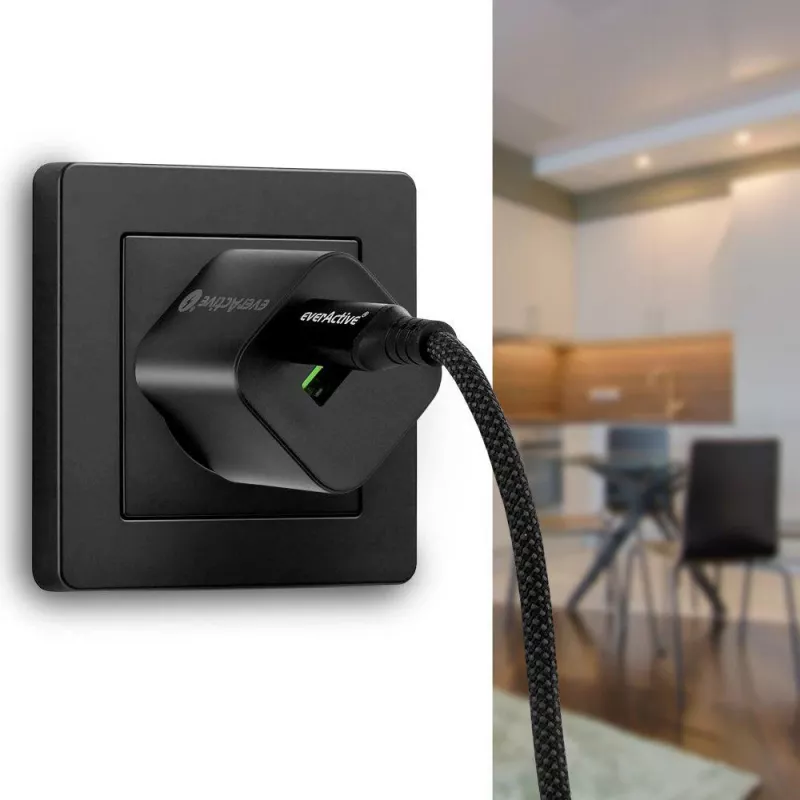 USB-C auf USB-C Kabel 100cm 100W PD LCD Display everActive CBB-1PD5L