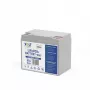 VOLT POLSKA LiFePO4 Batterie 12V 60Ah 60A