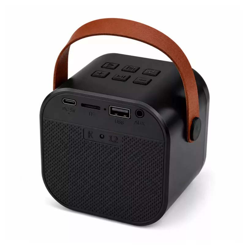 LEAN Karaoke-Set Bluetooth-Lautsprecher zwei Mikrofone LED-Leuchten Schwarz