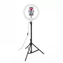 CELLY Ring Professional Stativ mit Licht - 160 cm, 10 Zoll LED-Ringleuchte, USB-betrieben, Schwarz