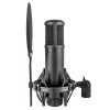 sE Electronics sE2200 Black Studio Kondensatormikrofon
