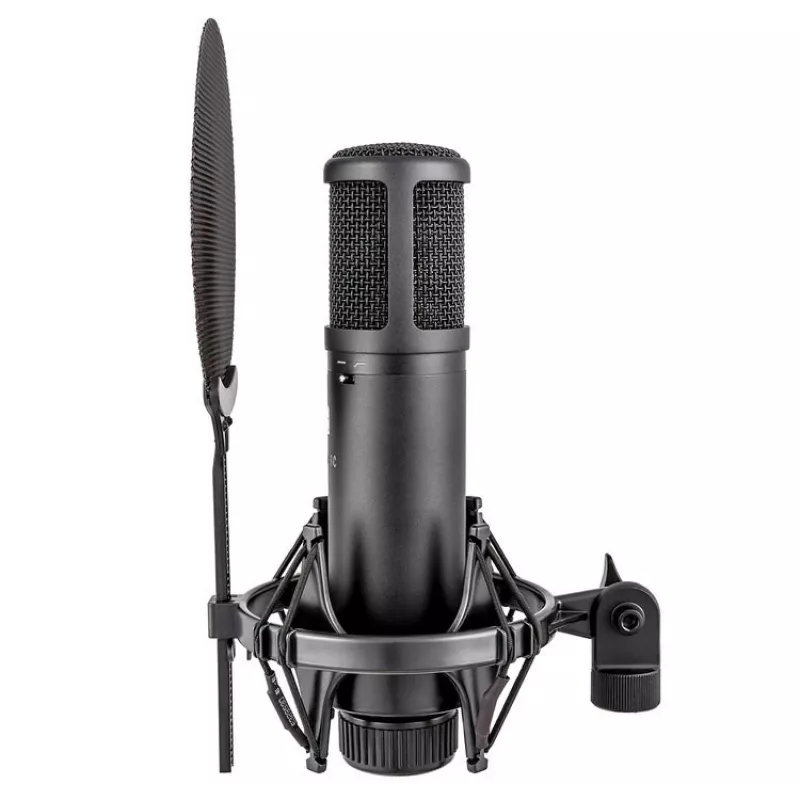 sE Electronics sE2200 Black Studio Kondensatormikrofon