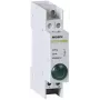 NOARK Ex9PD1g Grüne LED-Anzeigeleuchte 230V AC/DC 22mm Einbau IP65
