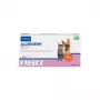 VIB Virbac Allerderm Shampoo für normale Haut bei Hunden und Katzen 250ml