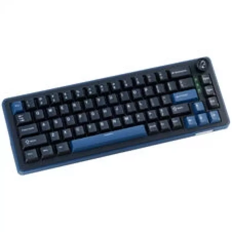 Ducky OK-M 65 Mechanische Gaming-Tastatur, 65% Formfaktor, Hot-Swappable, RGB-Hintergrundbeleuchtung, ANSI-Layout, KTT Baby Blue Switches