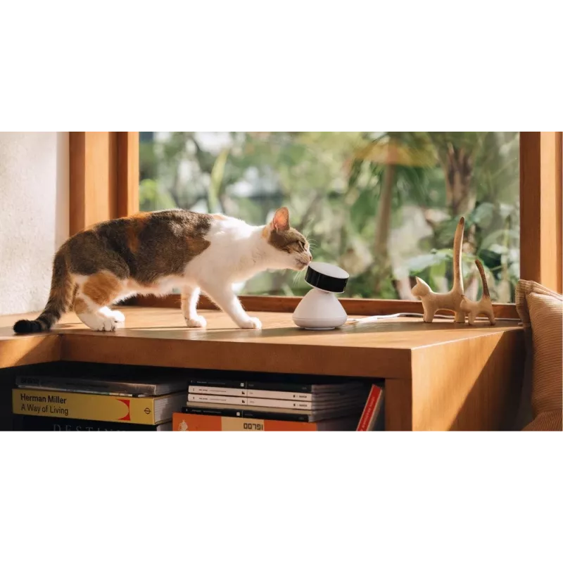 PETLIBRO Scout Smart AI Haustierkamera 1080p Full HD mit Zwei-Wege-Audio, Nachtsicht, Bewegungs- & Geräuscherkennung, 130° Weitwinkel, Wi-Fi, MicroSD/Cloud-Speicher, Weiß