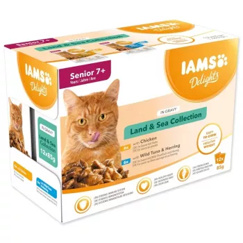 IAMS Delights Senior Land & Sea Collection in Soße 12x85g