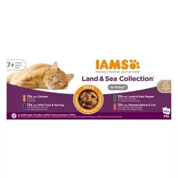 IAMS Delights Senior Land & Sea Collection in Soße 12x85g