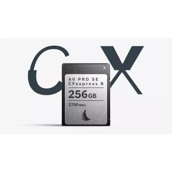 Angelbird AV PRO SE CFexpress Typ B 256GB Speicherkarte