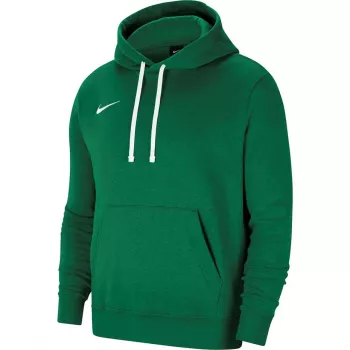 Herren Nike Team Club 20 Hoodie Kieferngrün