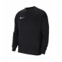 Nike Park 20 Herren Fleece Pullover Hoodie Schwarz CW6902-010