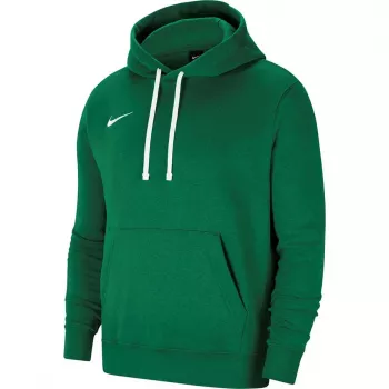 Nike Park 20 Hoodie Grün Spark CW6957 302