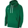 Nike Park 20 Hoodie Grün Spark CW6957 302