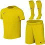 Nike Dri-FIT Park VIII Kinder-Fußballset Gelb HV8260 719 XL