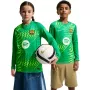 Nike FC Barcelona Stadion Torwart Kinder-Fußballtrikot 2026/27 Grün II3610 324 XL