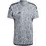 ADIDAS Herren Condivo 22 Torwarttrikot Kurzarm Grau Vier
